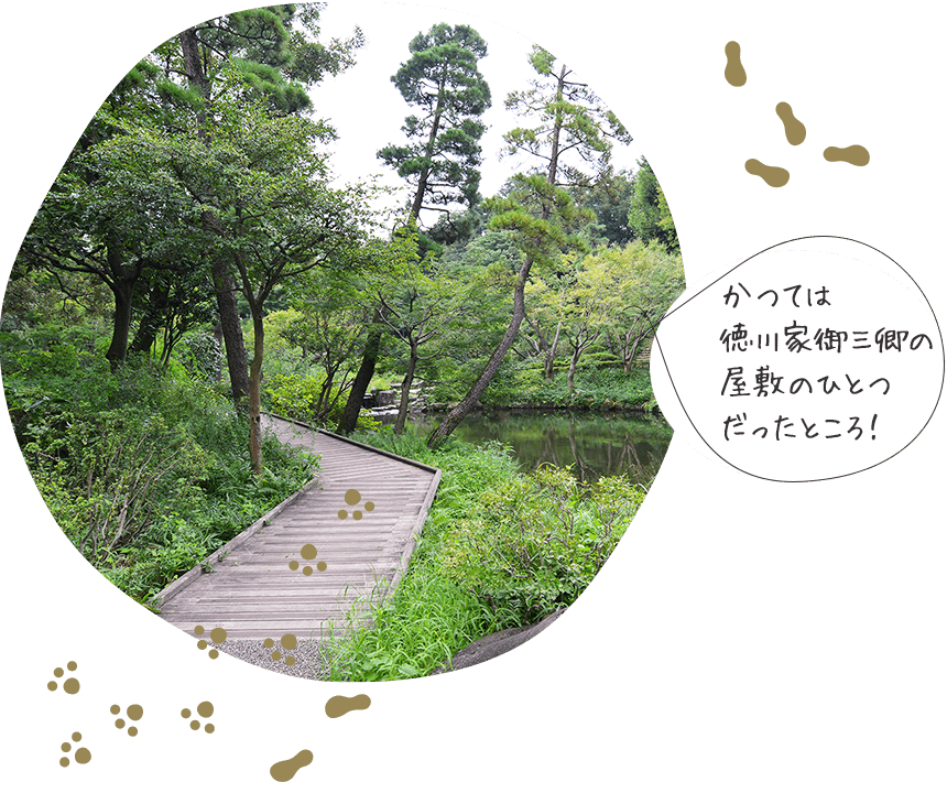 かつては徳川家御三卿の屋敷のひとつだったところ!