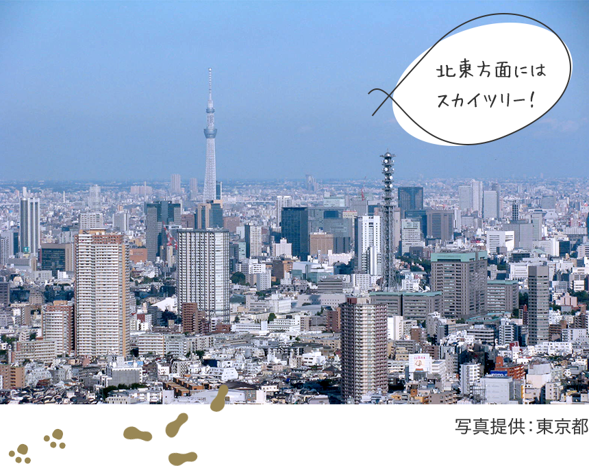 北東方面にはスカイツリー! 写真提供:東京都