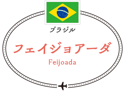 ブラジル フェイジョアーダ