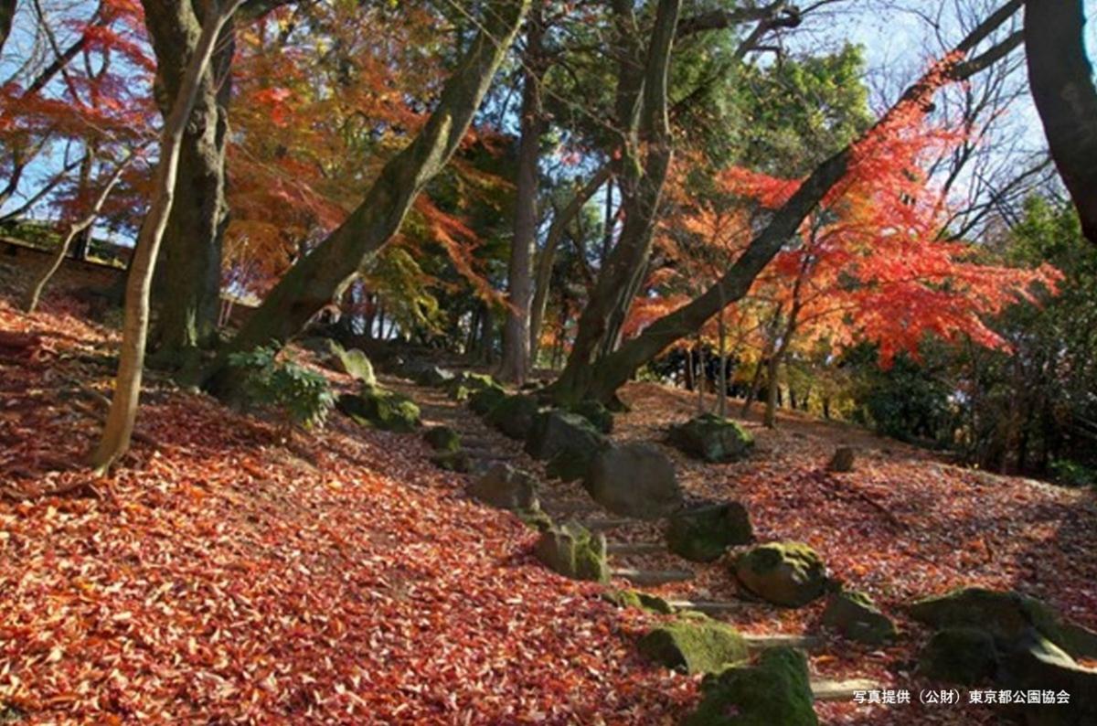 使用 戸山公園_クレジット.jpg