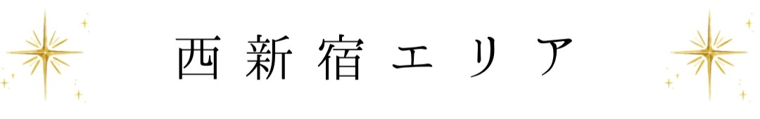 西新宿エリア(HP素材).jpg