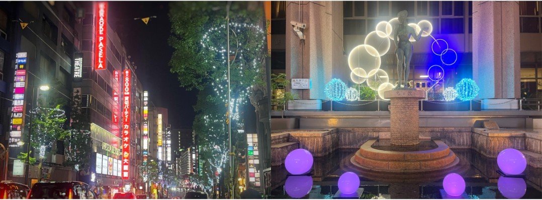 新宿区役所通り(境撮影) .jpg