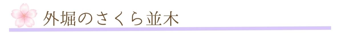 ②外堀の桜並木.jpg